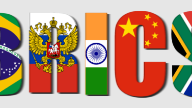 Brics Overview: A Comprehensive Guide to the Brics